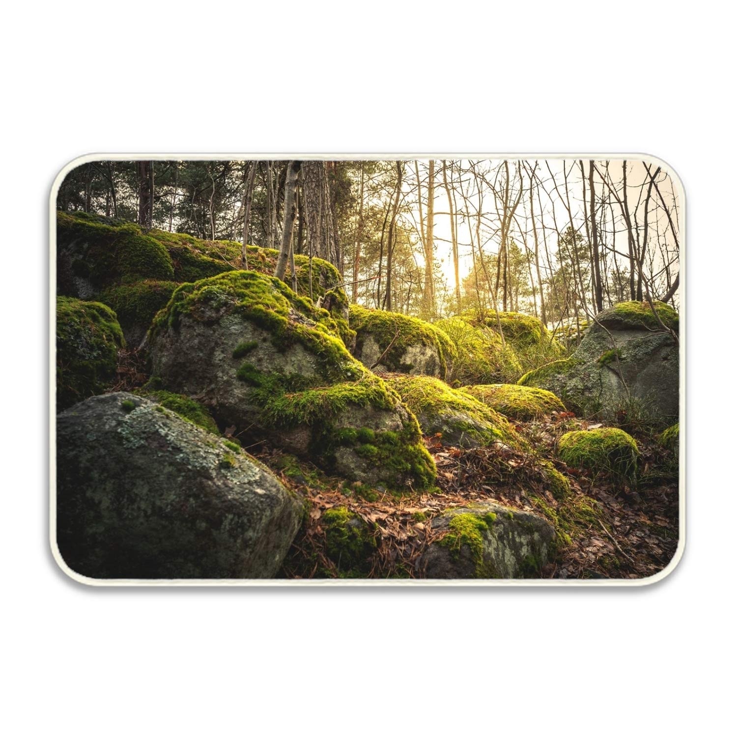 Amazon Com Jianlong Forest Rock Moss Doormat Entrance Mat Floor