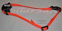 CollarSafe Designer Replacement Collar FIT PetSafe