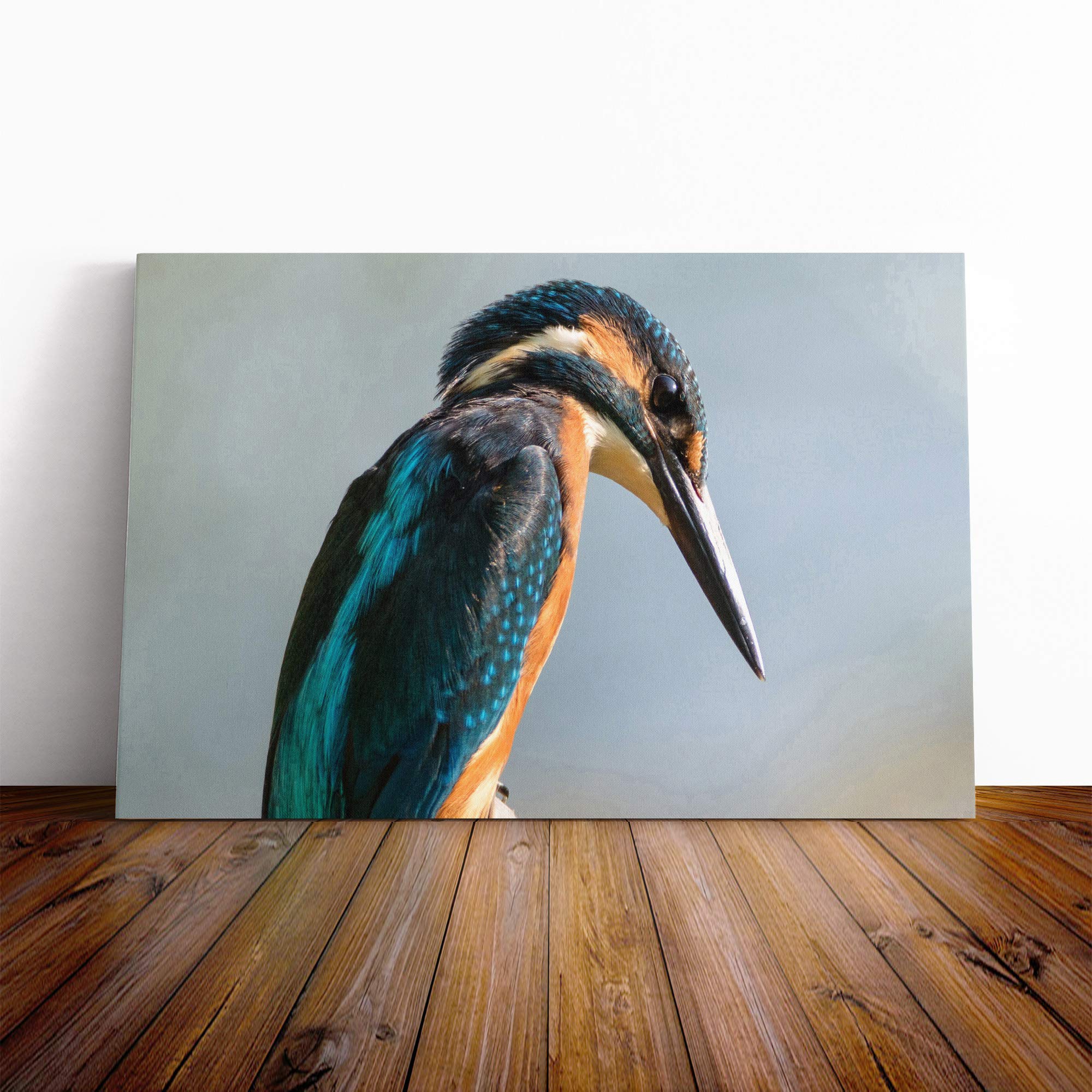Kingfisher Bird Vol.2 Canvas Print | Gallery Wrapped 30mm Frame Wall Art | 20x14 inches | Ready to Hang | Modern Animals Picture | Living Room Bedroom Lounge Office