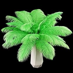 THARAHT Green Ostrich Feathers 24pcs Natural Bulk
