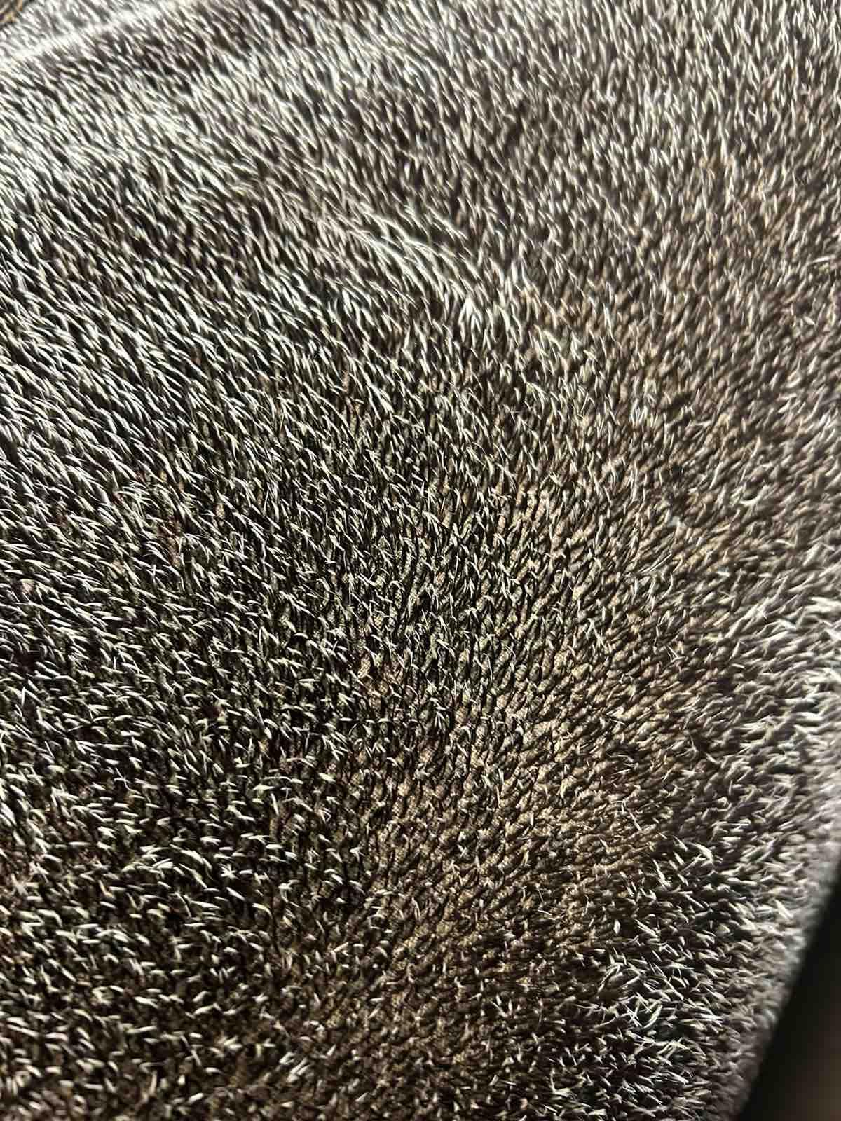 Steiff Schulte German-Made Hedgehog Realistic Mohair Fabric - Premium Quality, Article 20121,Felting Hedgehog Creation (25 * 17.5cm) — image 1