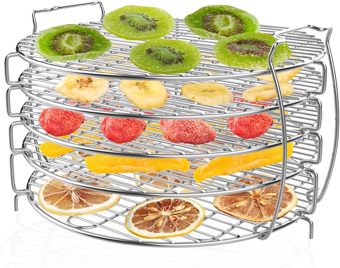 disidratatore per ninja foodi