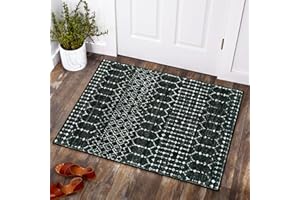 Lahome Moroccan Entry Rug 2x3, Non-Slip Washable Front Door Mat Indoor Rubber Backing Low-Profile Door Rugs, Small Geometric Print Distressed Inside Welcome Mats for Entryway Bathroom Kitchen, Black