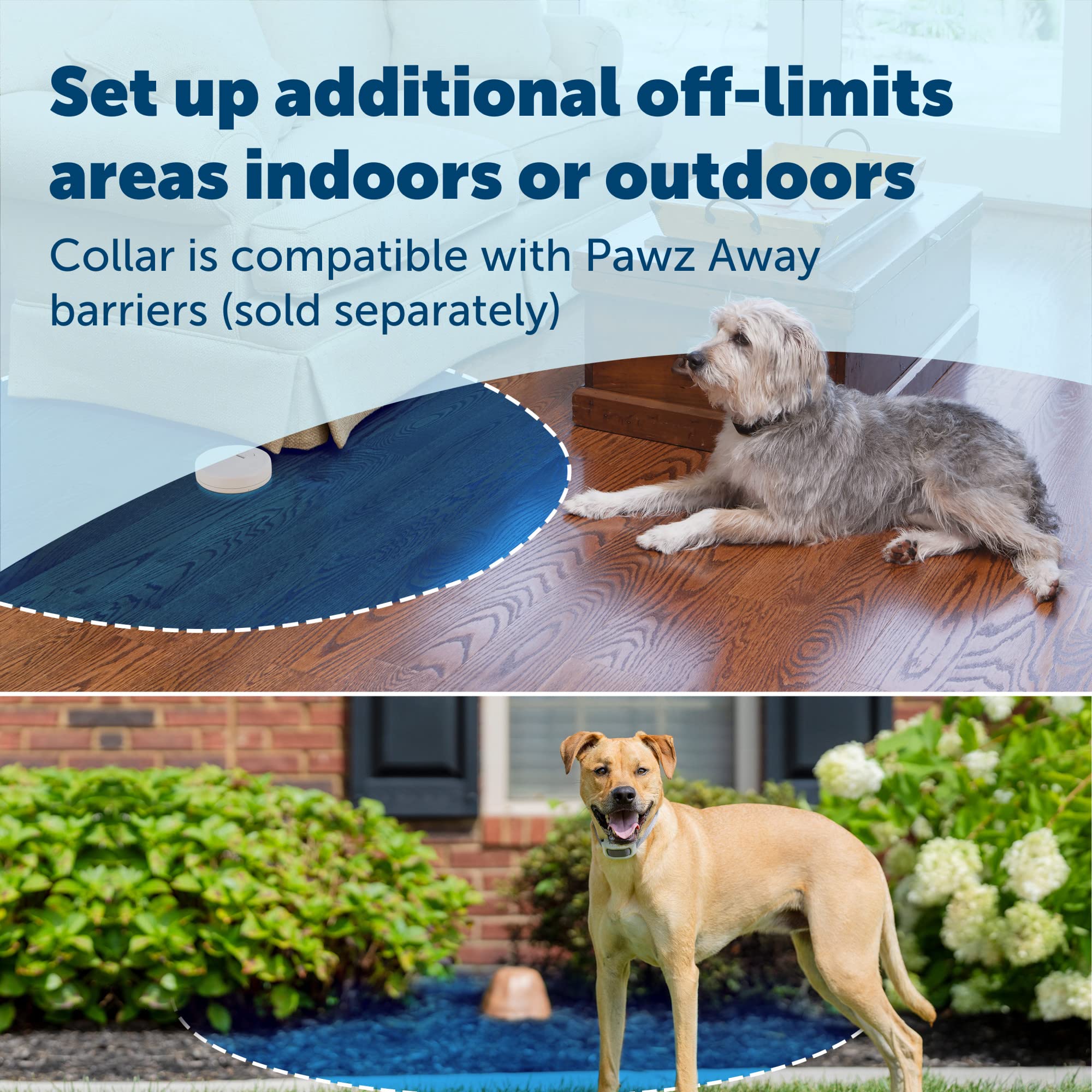 PetSafe Classic In-Ground Fence Rechargeable Receiver Collar for Dogs and Cats - from The Parent Company of Invisible Fence Brand - 7 Levels of Adjustable Static Correction - for Pets 5 lb and Up