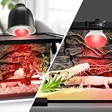 LUCKY HERP Reptile Heat Lamp 3 Pack 100W UVA Bearded Dragon Gecko Lizard view 6