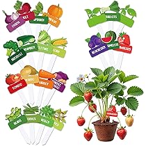 Arricraft 15 Pcs Wood T-Type Plant Tags, Illustrated Graphic Plant Sign