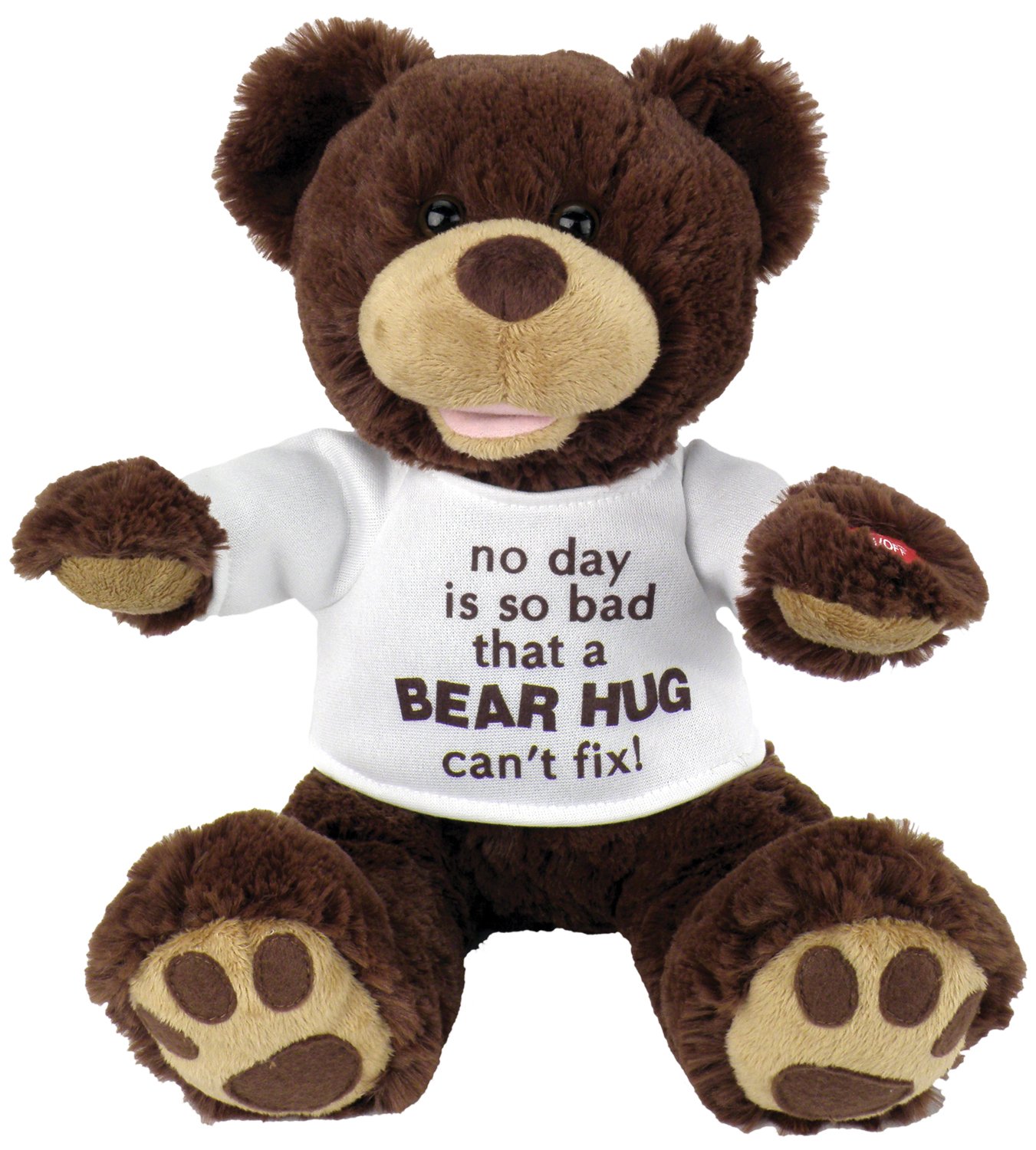 CHANTILLY LANE MUSICAL CHRISTMAS BEAR RECORD MESSAGE WISH YOU A MERRY