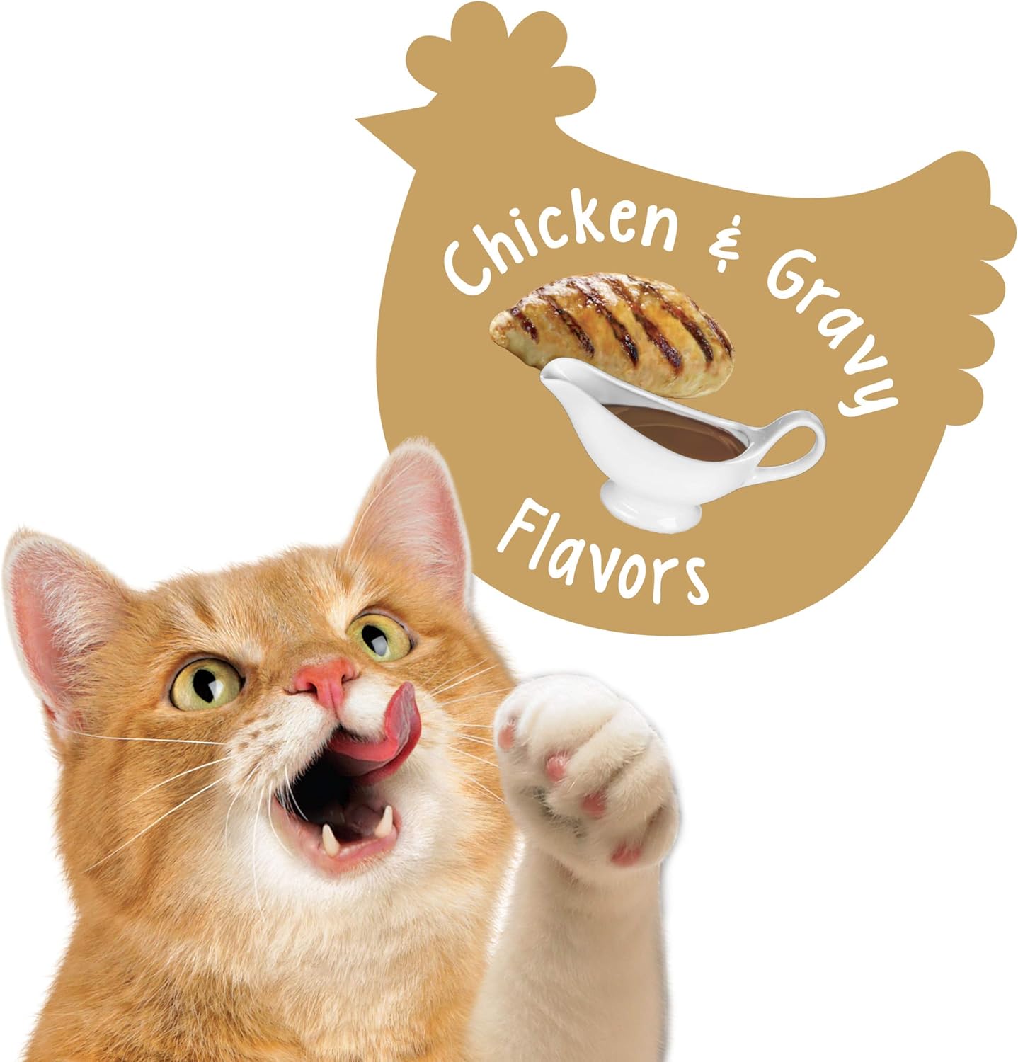 Purina Friskies Made in USA Facilities Cat Treats, Party Mix Crunch Gravylicious Chicken & Gravy Flavors - 20 oz. Canister : Pet Supplies