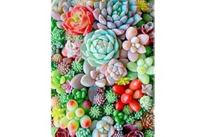 AJEPON Succulent Diamond Art Kits for Adults-Diamond Painting Kits Succulents,Plant 5D Diamond Painting for Adults,Gem Painting Kit Arts for Wall Home Decor Arts Craft 12x16inch