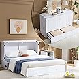 EDWINENE Murphy Bed Queen with Mattress Included, Queen Murphy Bed Cabinet with Storage and Charging Station, Farmhouse Murphy for Home, Office, Small Space, White