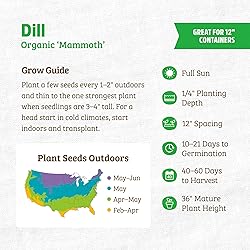 Back to the Roots 100% Organic Seed Packet - Dill