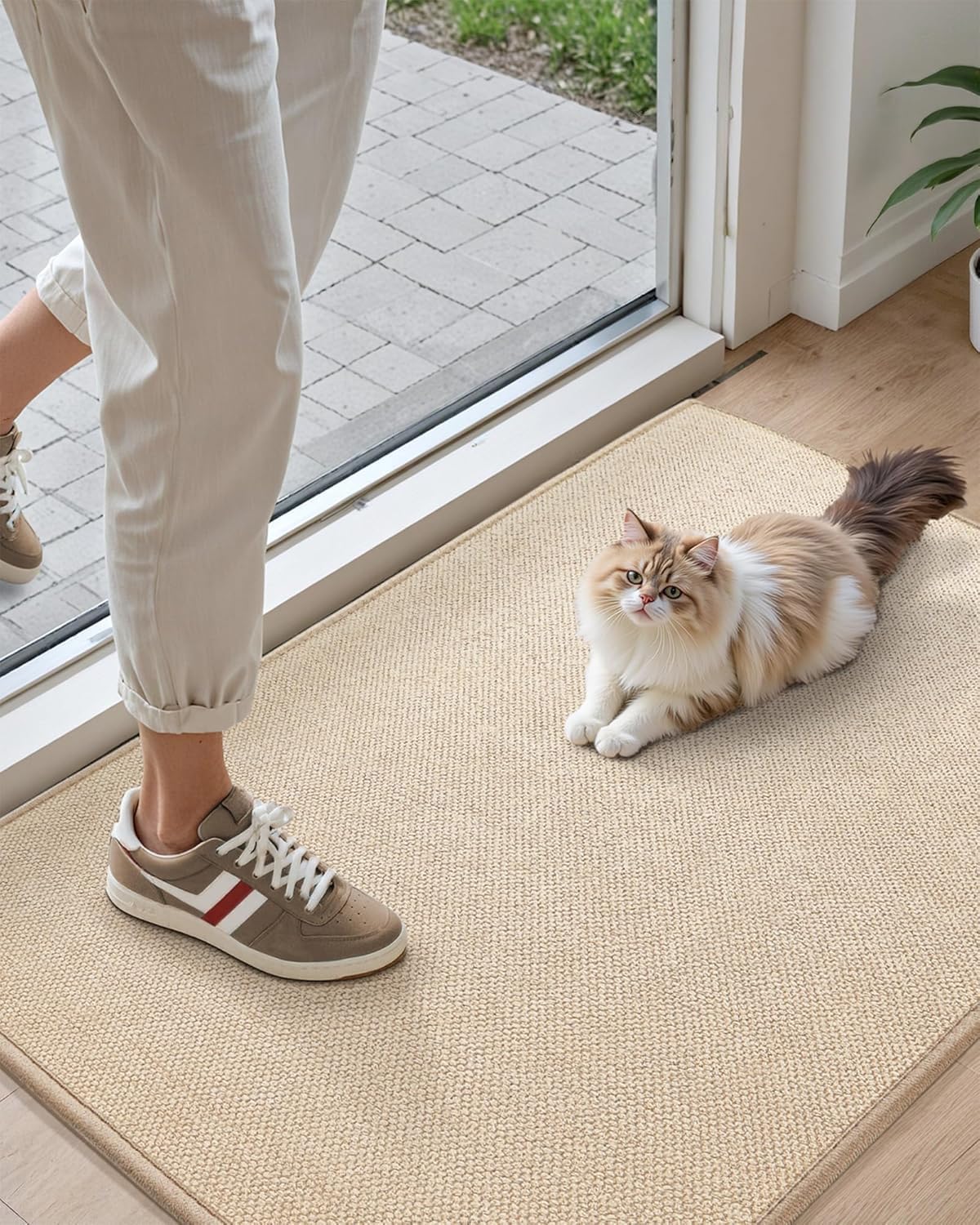 COLOR&GEOMETRY Door Matts Indoor 61x92 cm, Doormat Indoor Non-slip Dirt Trapper, Absorbent Inside Entrance Rug, Washable Low Profile Front Door Mats for Entryway, Beige(Rolled-up NO Creases)