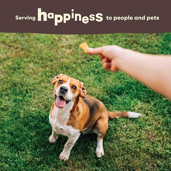 PET ‘N SHAPE CHIK ‘N RICE DUMBBELLS – NATURAL DOG TREATS, CHICKEN, 1 POUND