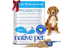 Native Pet Probiotics for Dogs - Dog Probiotics Powder for Digestive Health, Gut Support, & Immune Boost – Vet-Formulated Powder for Maximum Potency with Digestive Enzymes & Prebiotics - 30 Scoops