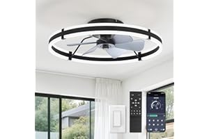 ZMISHIBO 24 Inch Ceiling Fans with Lights and Remote, Modern Low Profile Ceiling Fan, 3000-6000K Dimmable Flush Mount LED Fan