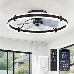 ZMISHIBO 24 Inch Ceiling Fans with Lights and
