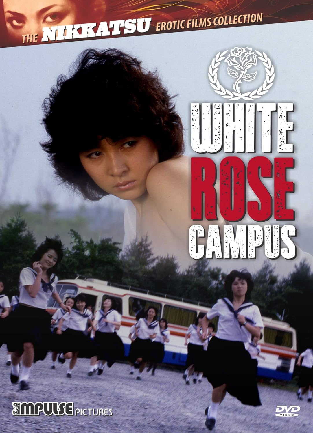 campus rose pale
