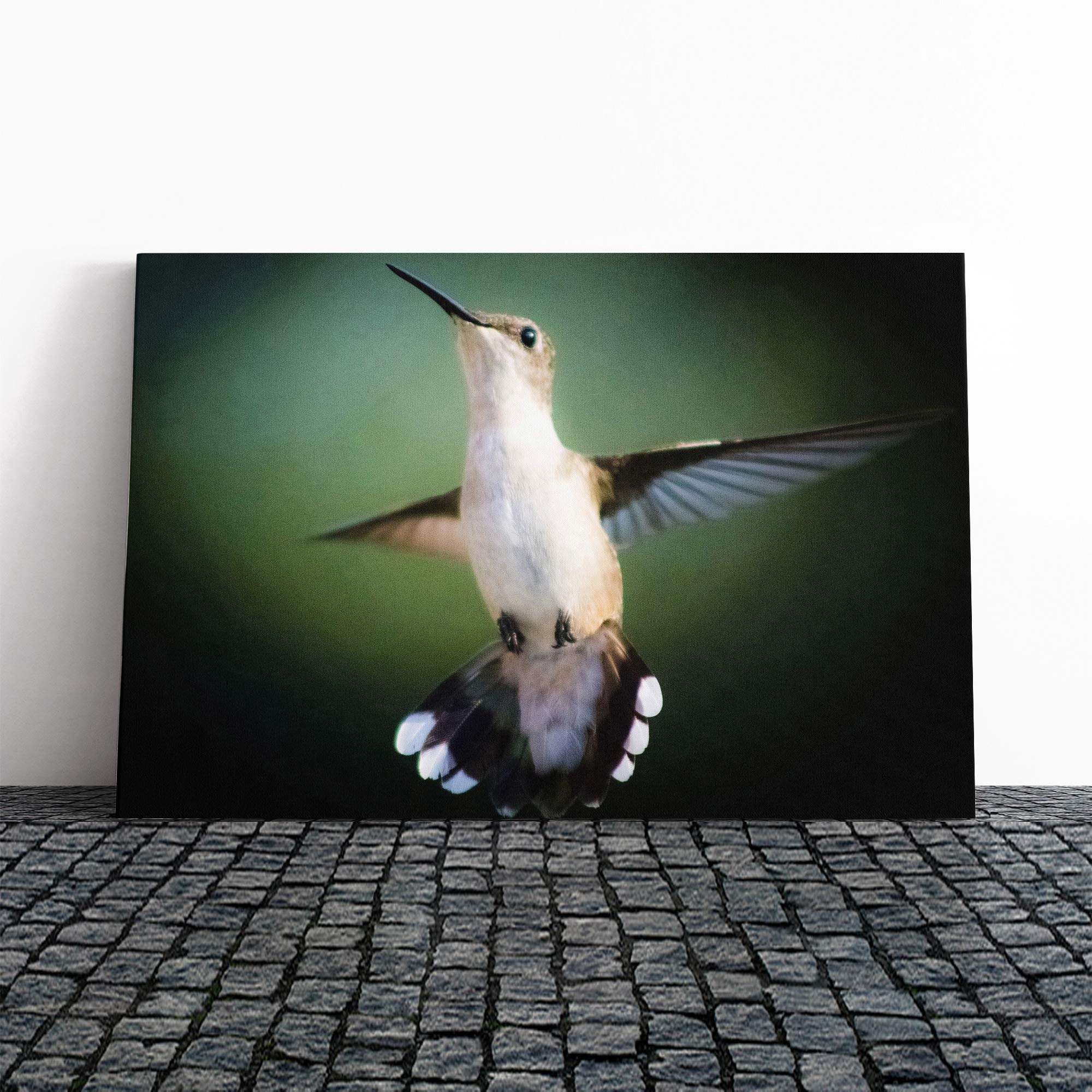 Hummingbird Bird (2) Canvas Print | Gallery Wrapped 30mm Frame Wall Art | 20x14 inches | Ready to Hang | Modern Animals Picture | Living Room Bedroom Lounge Office