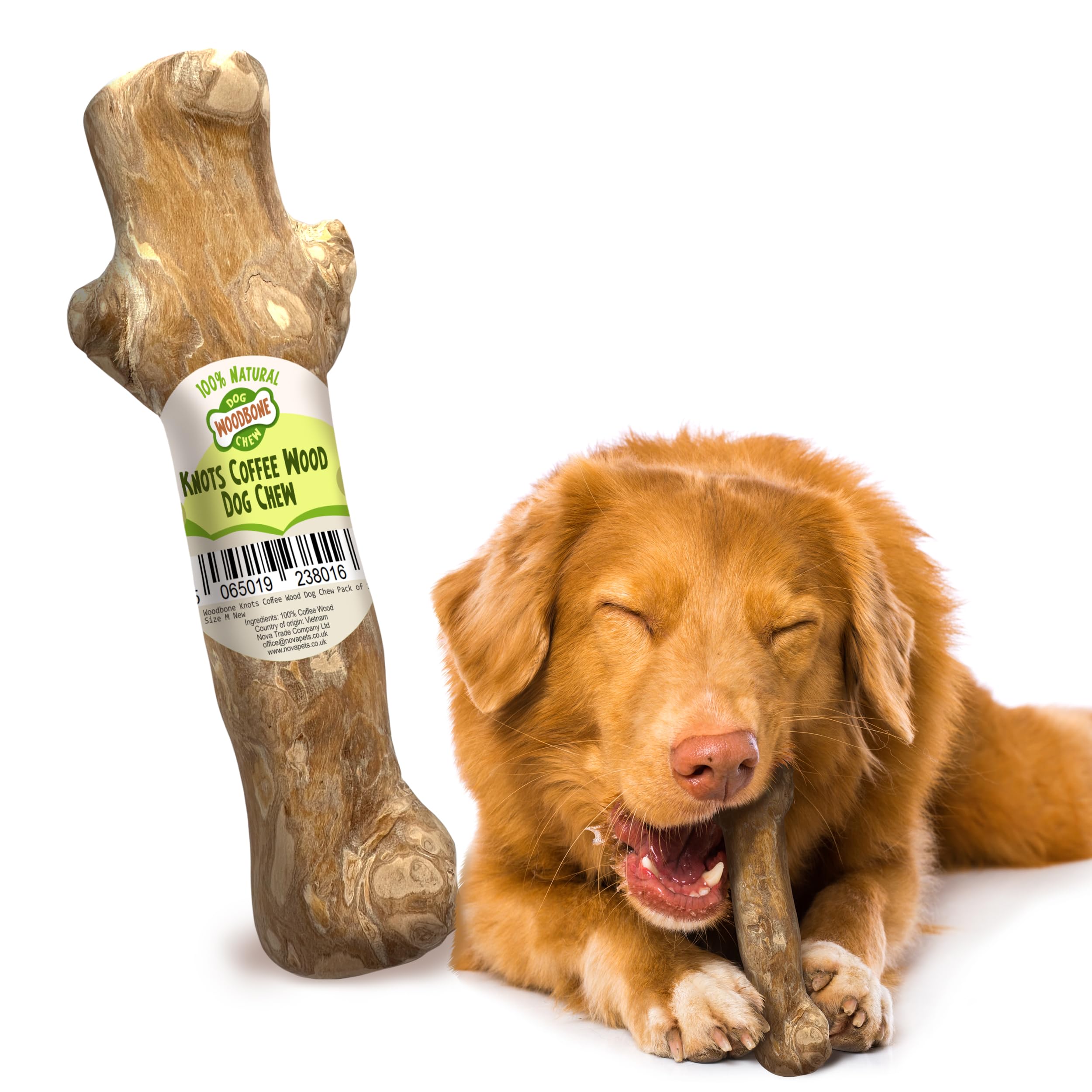 Woodbone Knots Coffee Wood Dog Chew Toy for Medium Dogs - Natural Wood Knots Branch Chewing Stick - Pack of 1 Size M