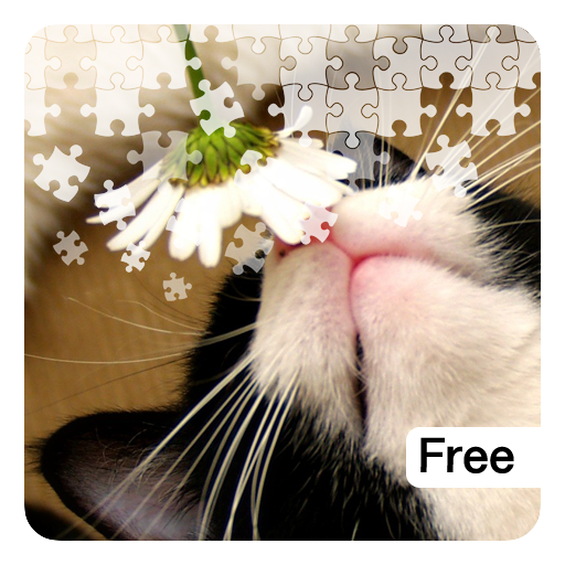 More Kitten Jigsaw Puzzles - Thumbnail 6