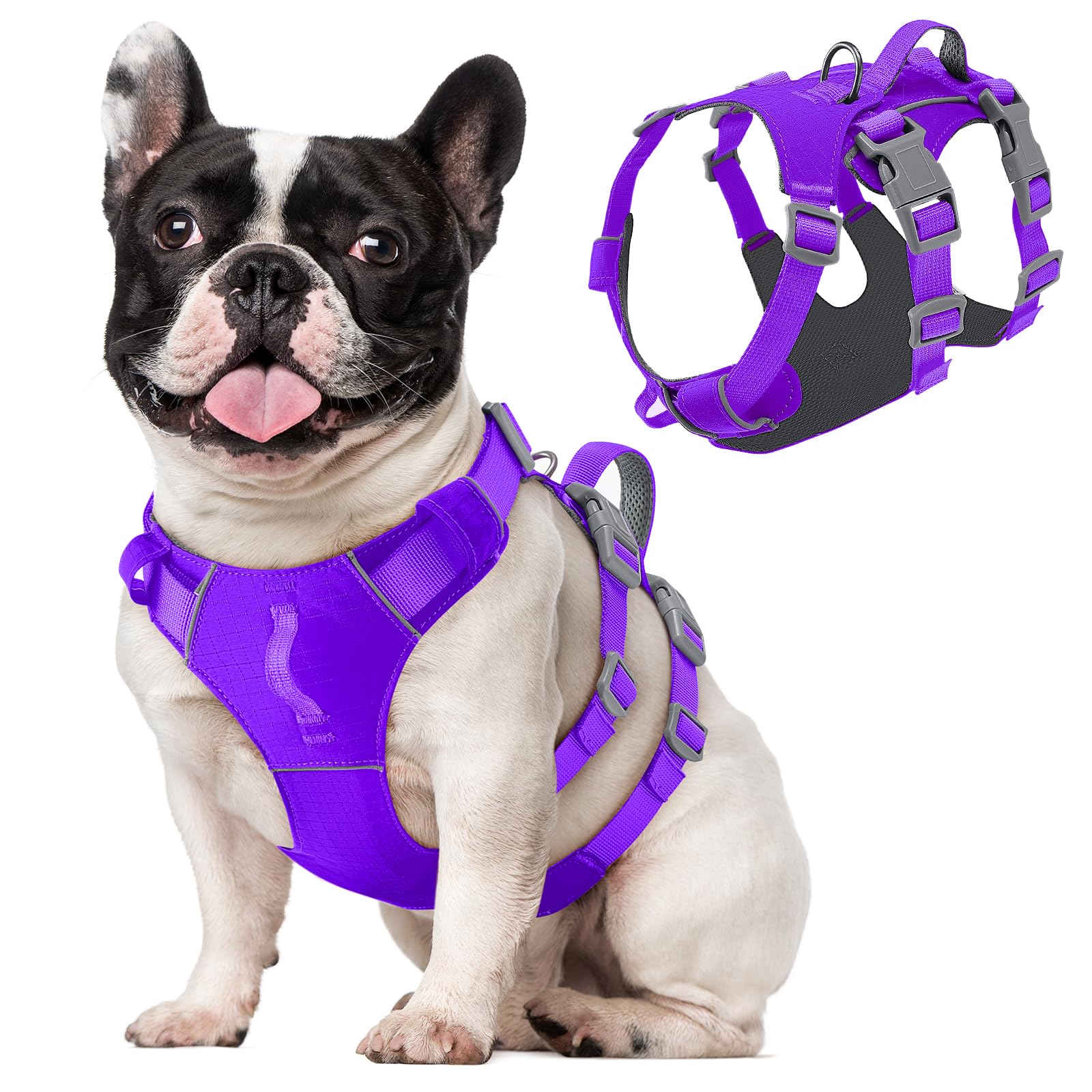 Eyein Escape Proof Dog Harness Small Medium Dog - No Pull Harness for Dogs with Front Clip Lightweight Durable, No Choke Lifting Harness with Chest Belly Support for Small Medium Large Breeds, S