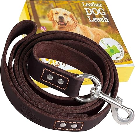 dog leashes on amazon