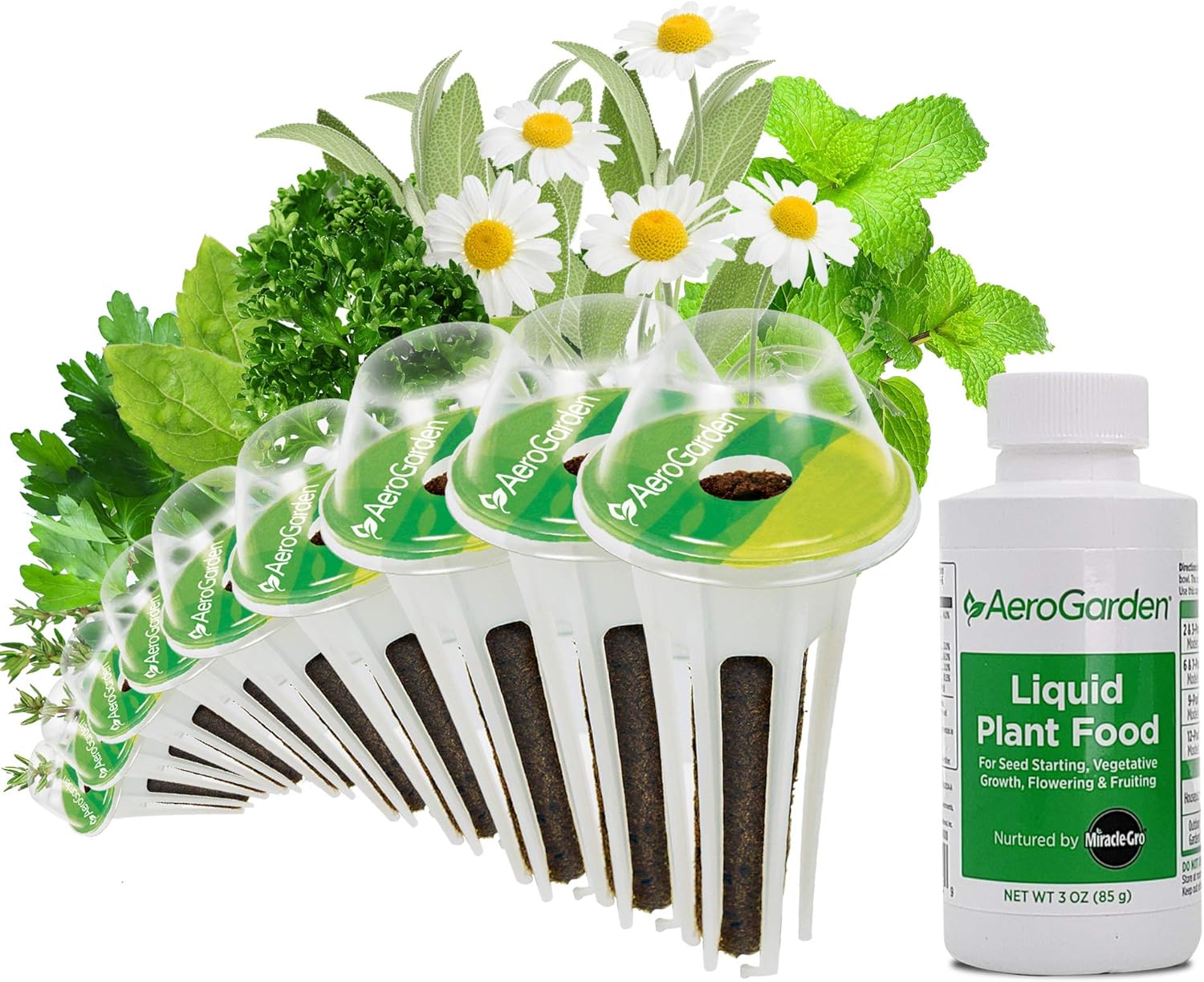 AeroGarden Traditional Medicinal Herbs Seed Pod Kit, 9, Green