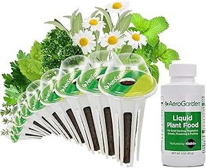 AeroGarden Traditional Medicinal Herbs Seed Pod Kit, 9, Green