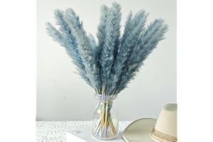 EEAIVNM 30PCS Small Pampas Grass Dried Flowers Dried Natural Floral Arrangement Decoration Reed Dried Grass,Eternal Flower Pampas Reed Dried Grass Used for Home,Wedding,Party,Flower Bouquet,Photo (Gray)