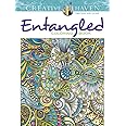 Amazon.com: Creative Haven Entangled Starry Skies Coloring Book ...
