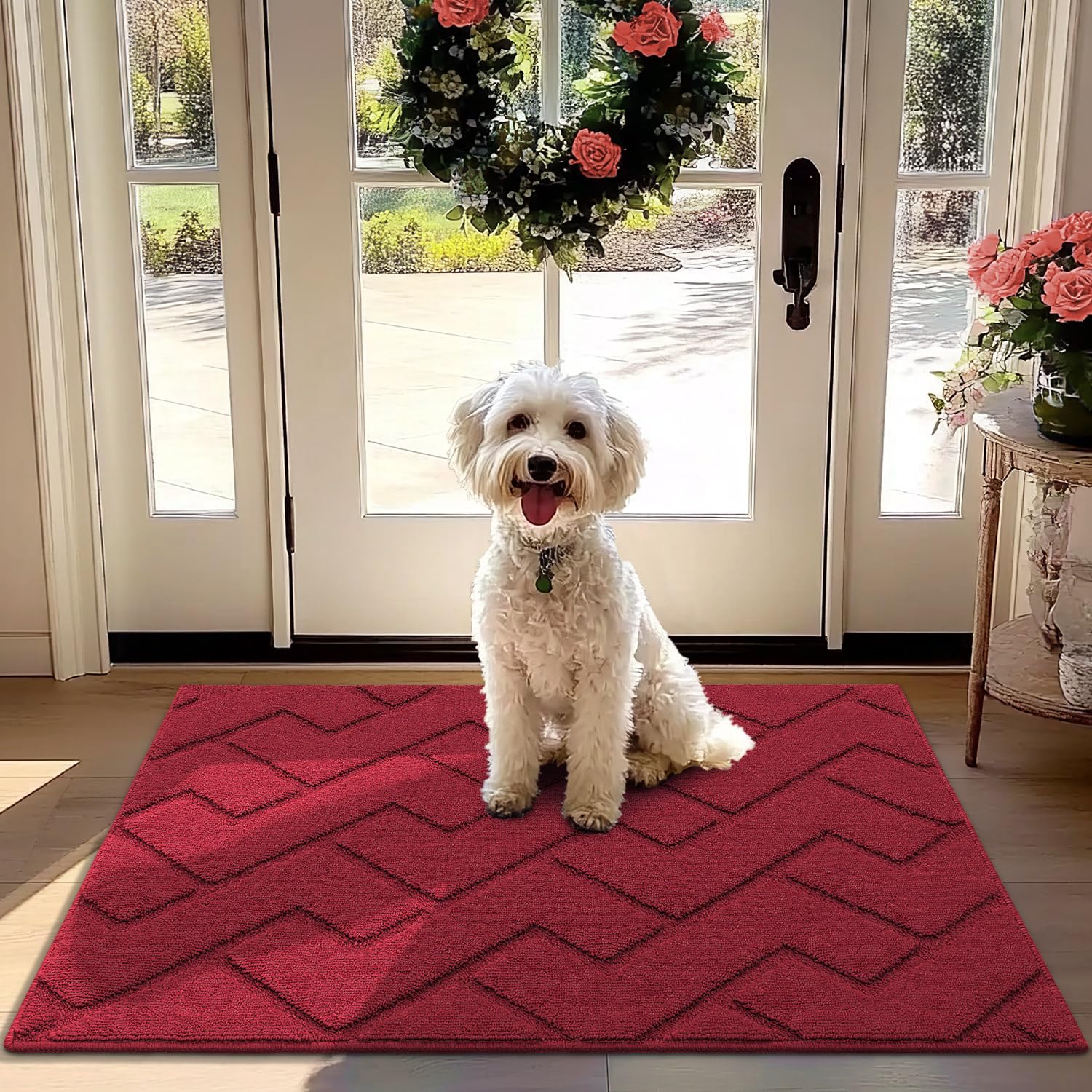 Biscpro Door Mat, 80x100cm DoorMat Indoor Washable, Doormat Indoor Dirt Trapper Non-slip,Absorbent Inside Entrance Rug Mat for Entryway,Patio,Garden,Laundry Room,Pets - Red — image 1