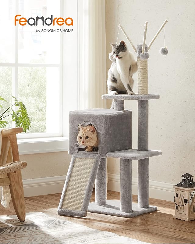 Arbre à Chat, Tour de Jeux, Chaton