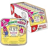 C&amp;S High Energy Suet Treat, Suet Cakes for Wild Birds, Pack of 8 | Suet cakes for woodpeckers, made with real insects, use in a suet feeder year-round