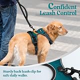 rabbitgoo Large Dog Harness No Pull Adjustable Reflective Padded Vest Dark Green view 7