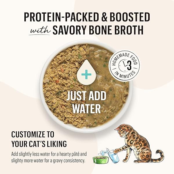 THE HONEST KITCHEN DEHYDRATED GRAIN FREE CHICKEN CAT FOOD, SINGLE SERVE PACK, 1 OZ X10