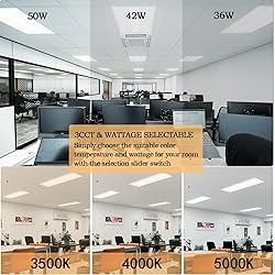 ildfluer 2x4 FT LED Troffer