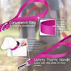 Country Brook Petz - Deluxe Nylon Dog Leash with