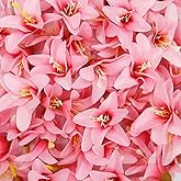 Duodoyi 20 Pcs Artificial Lily Flower Head,Fake Flowers Heads Simulation Small Lily Flower Heads for DIY Handmade Office Faux Flower Arrangement Wedding Photography Party Home Decoration(Dark Pink)