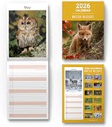 evelay 2026 British Wildlife Wall Calendar Slim Month to View Planner UK view 9