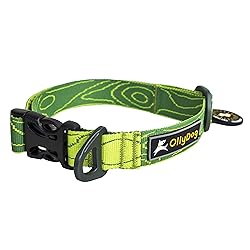 OllyDog Flagstaff Collar, Webbing Dog Collar with
