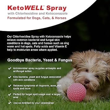 ringworm spray for dogs