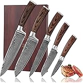 Wakoli EDIB 5-Piece Damascus Knife Set, Professional Kitchen Knives made of 67-Layer Damascus Steel with VG10 Core Blades, Ergonomic Pakkawood Handles, In Wooden Gift Box