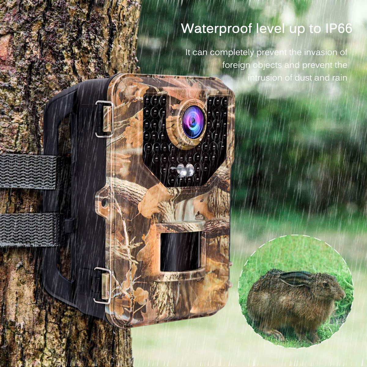 sesern trail camera