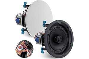 Pyle Ceiling and Wall Mount Speaker - 8” 2-Way 70V Audio Stereo Sound Subwoofer Sound with Dome Tweeter, 600 Watts, in-Wall &