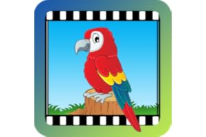 (KT)Video Touch - Birds