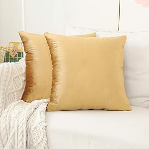 Home Brilliant Velvet Euro Shams Square Large Fall Throw Pillow Covers Decorative Pillowcases for Bed Sofa Couch Office Car, Set of 2, 24 x 24 inches(60cm), Gold