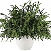 Wsorik 12Pcs Realistic Norfolk Pine Branches -18Inch Artificial Real Touch Christmas Pine Stems Picks Greenery Fake Cedar Pine Branch for Vase DIY Crafts, Xmas Indoor Outdoor Home Decor