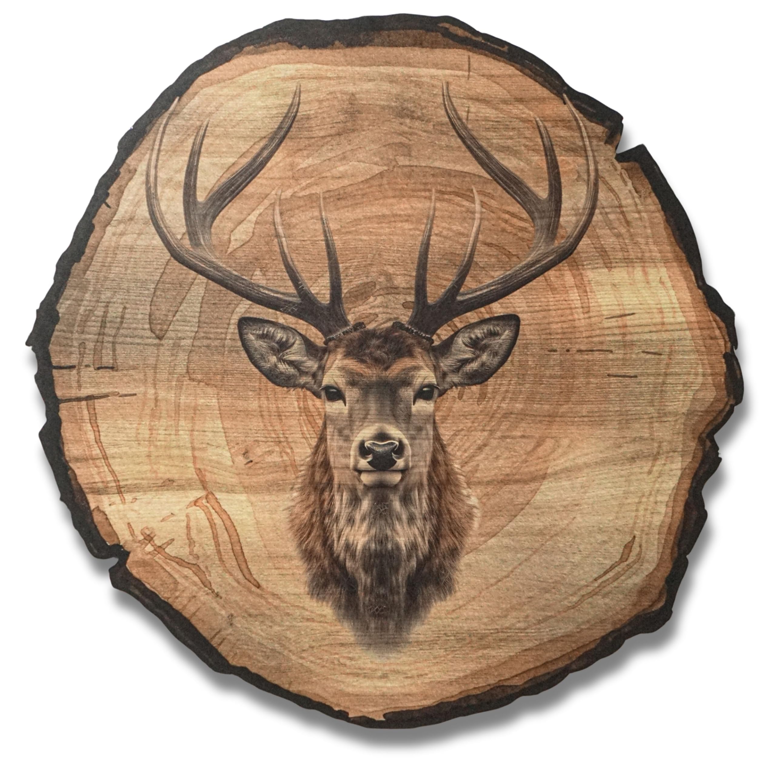 DARO Design - Wall Picture Stag Size 30 cm - Art Print Ready to Hang - Wall Decoration Theme Hunting, Nature, Animals