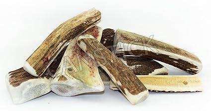 Canstick Original Os à Mâcher En Cerf Taille V Pour Les