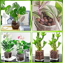 Halatool 8LB Clay Pebbles for Plants 4mm-16mm